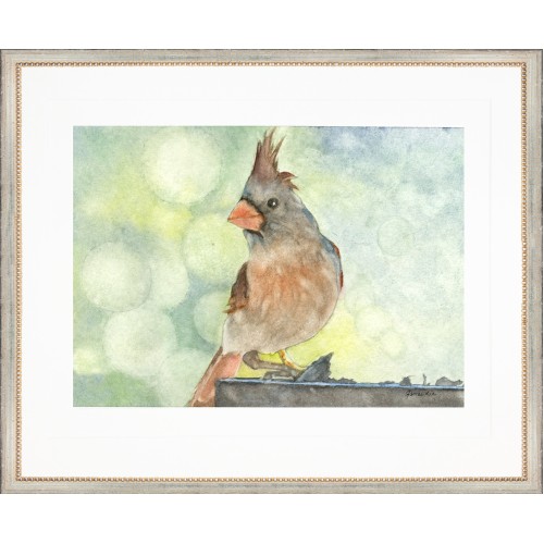 JL- CARDINAL 3